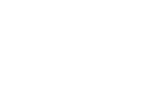 DiWiSH – Digitale Wirtschaft Schleswig-Holstein