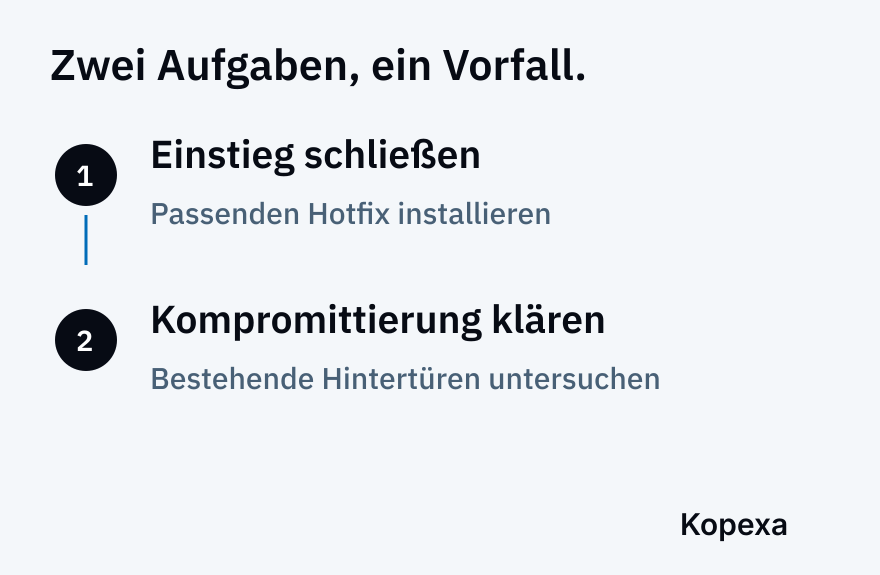 Zwei getrennte Aufgaben bei bereits betroffenen Systemen: Einstieg schließen und bestehende Kompromittierung untersuchen.